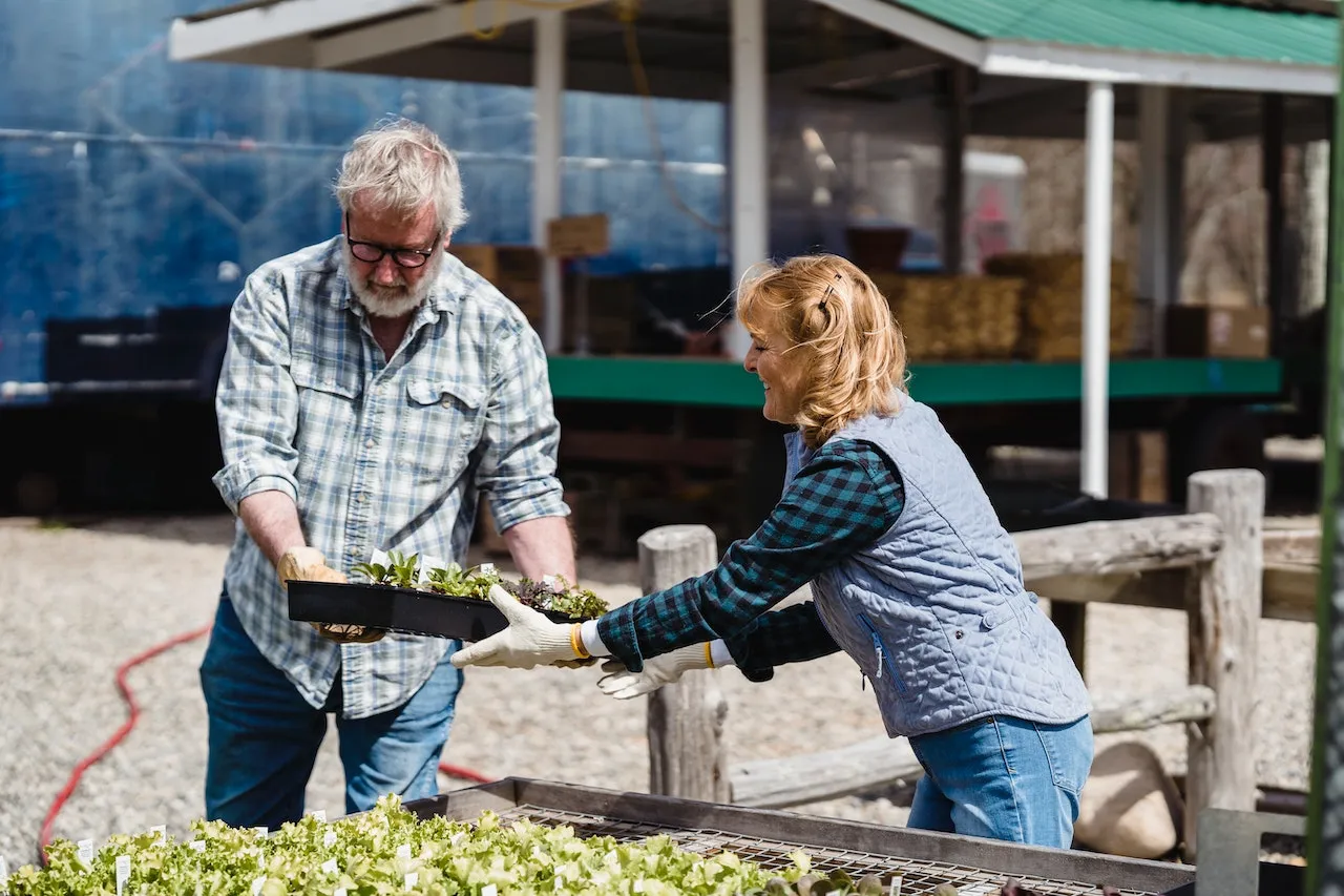 Community-supported agriculture (CSA) programs