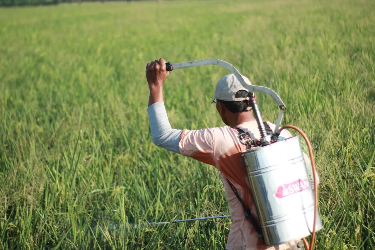 Organic vs traditional pesticides