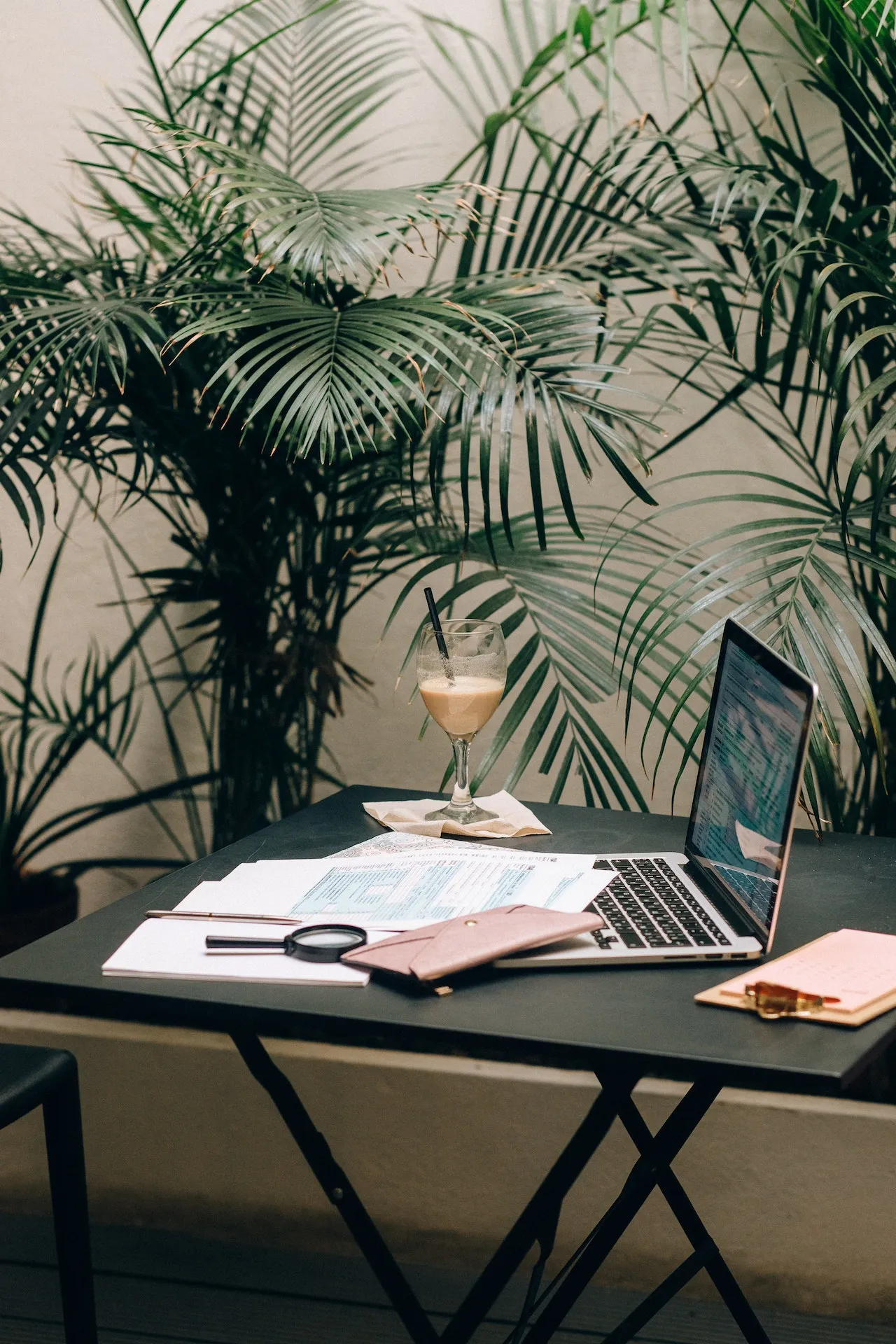 Areca Palms in office room