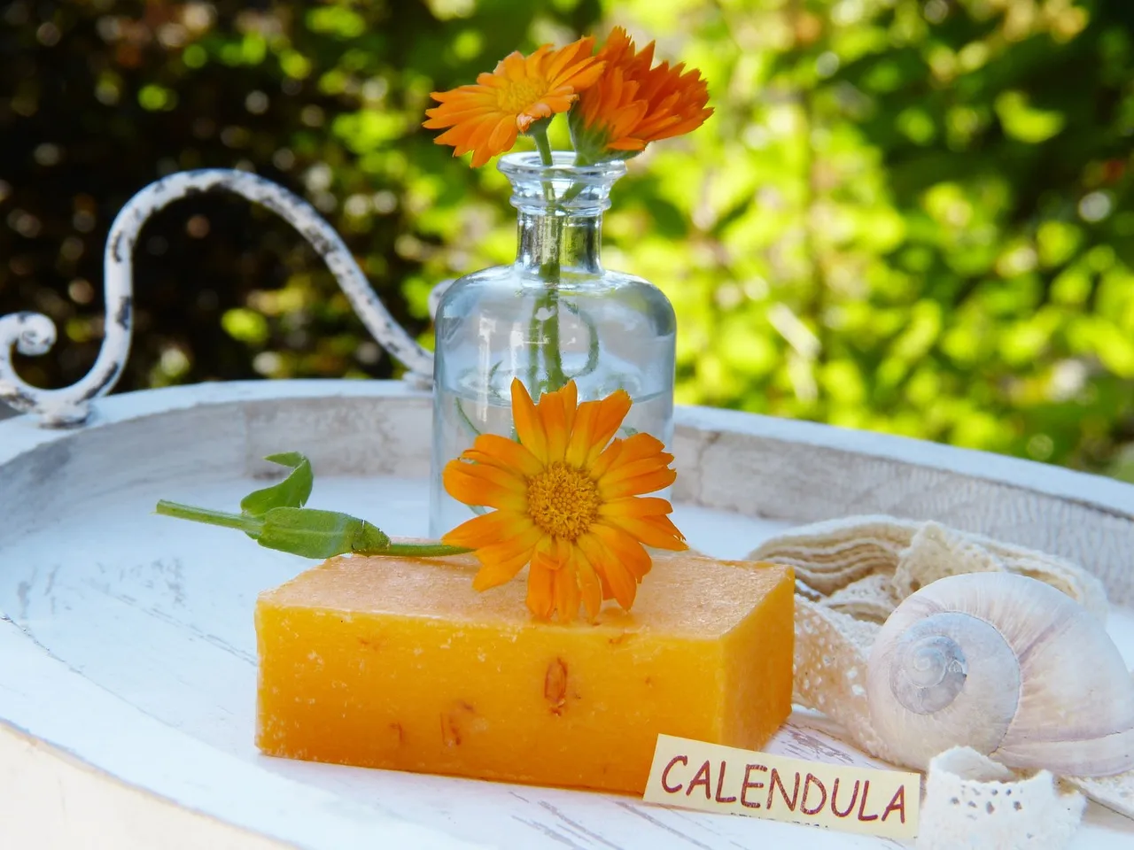 calendula soap