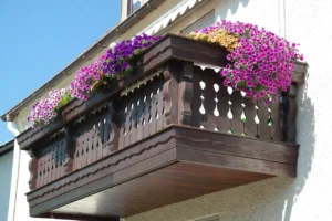 Calibrachoa in balcony