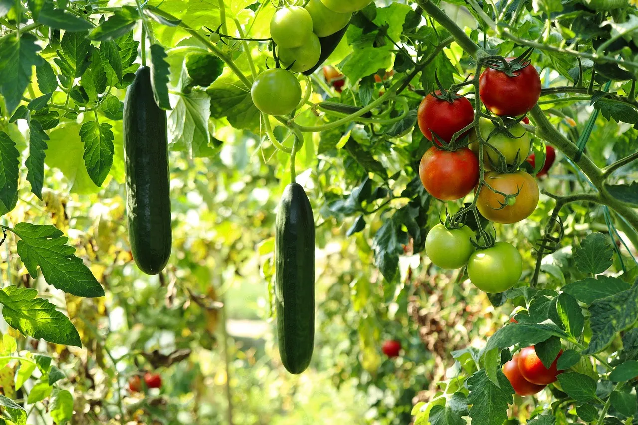 March vegetable gardening