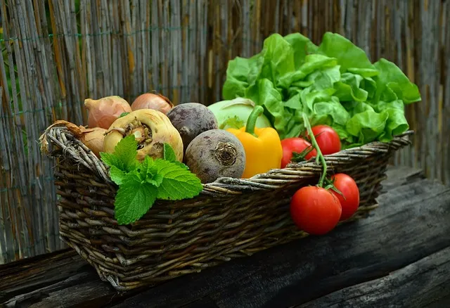 best vegetables to plant in March