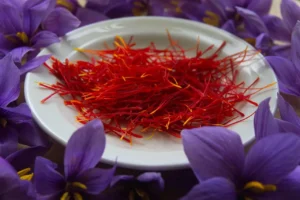 Aeroponic Saffron Farming