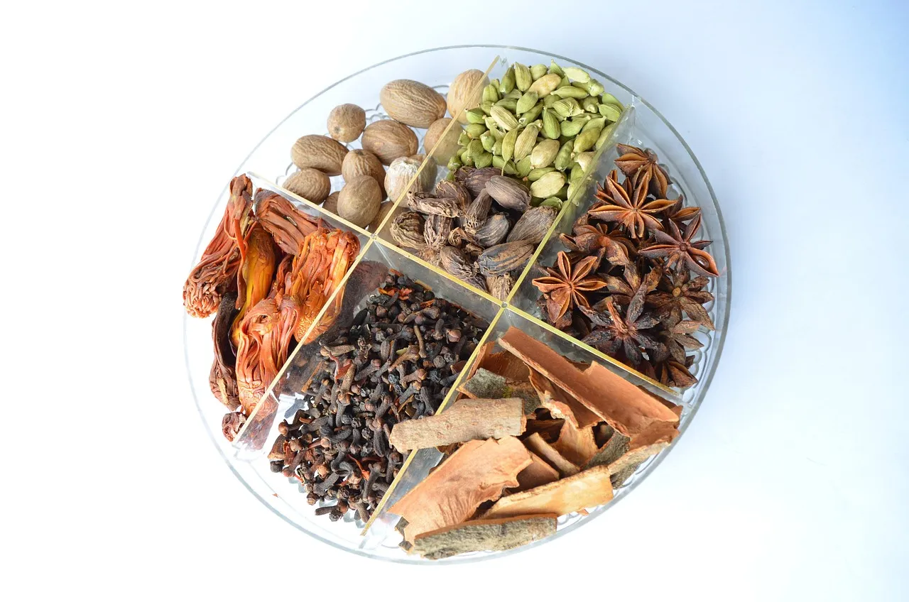 Organic spice garden ideas