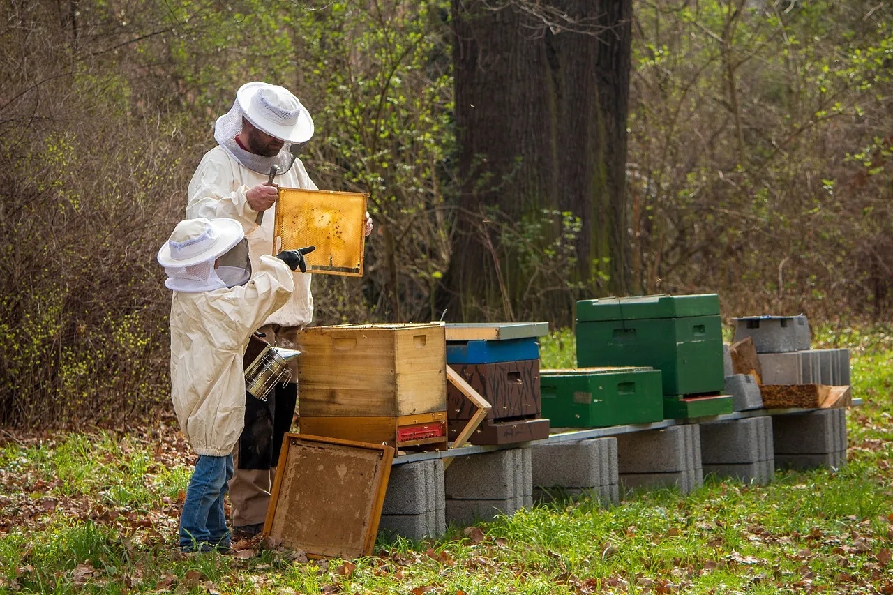 Honey bees and crop yield