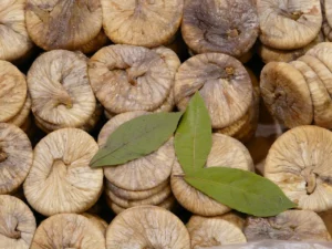 Climate-adaptable figs