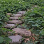 Build a DIY Gravel or Stone Pathway